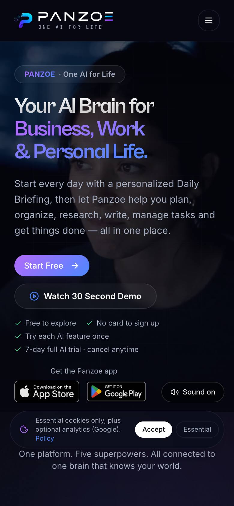 Panzoe Technologies screenshot