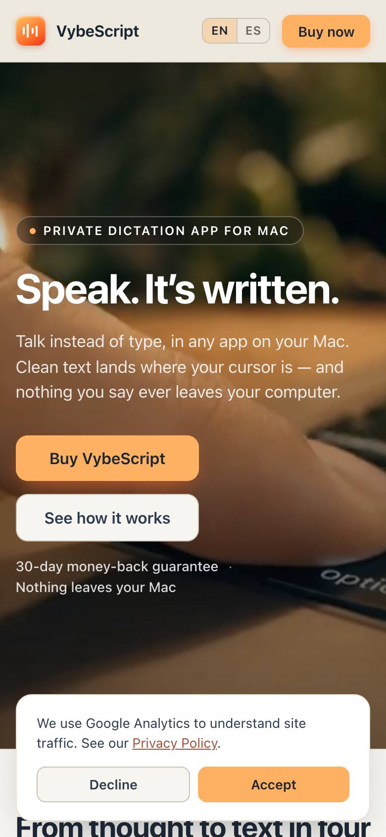 VybeScript screenshot