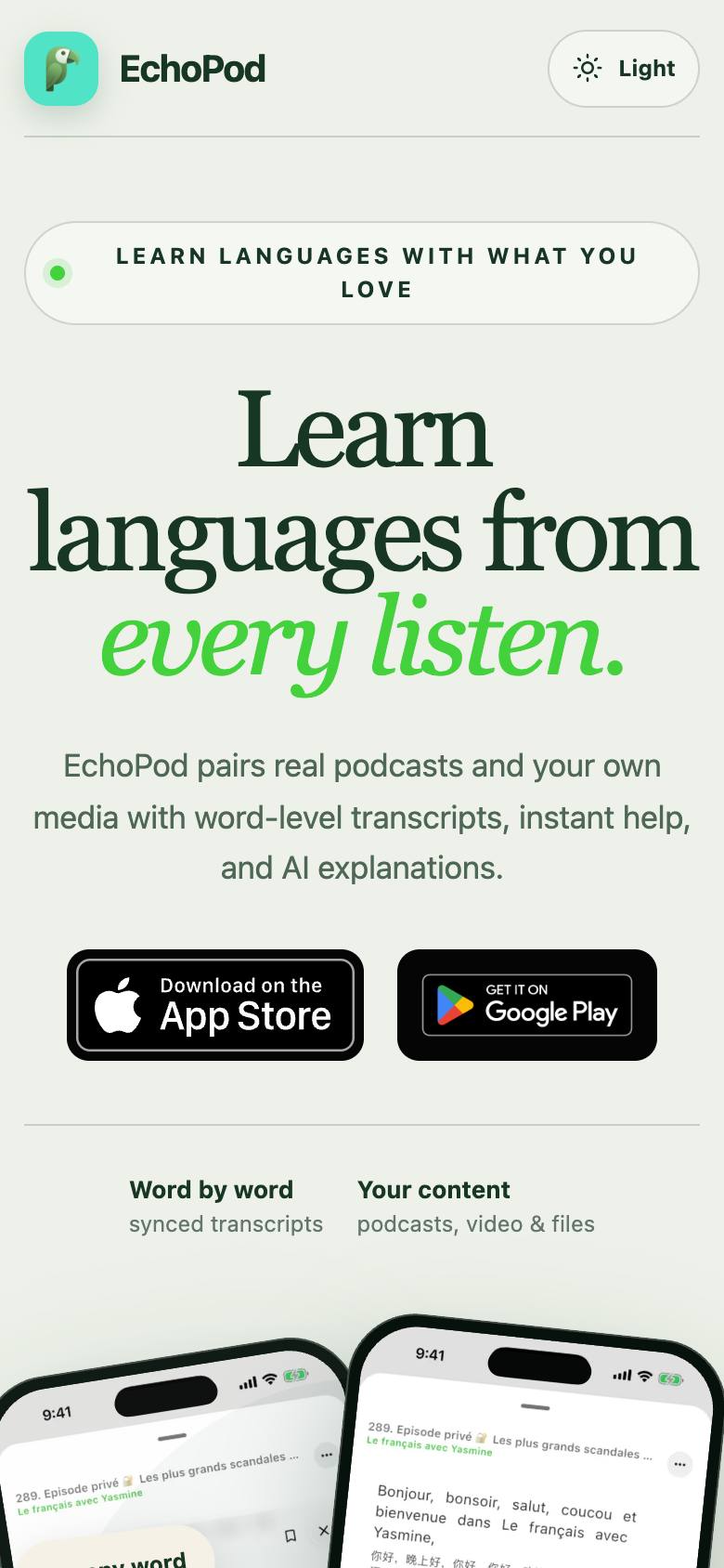 EchoPod screenshot